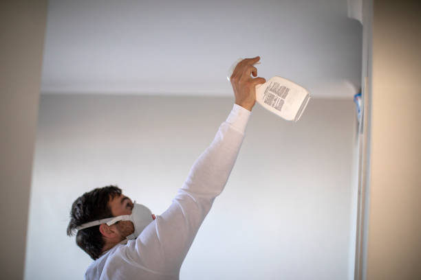 Best Affordable Mold Removal  in Acushnet Center, MA